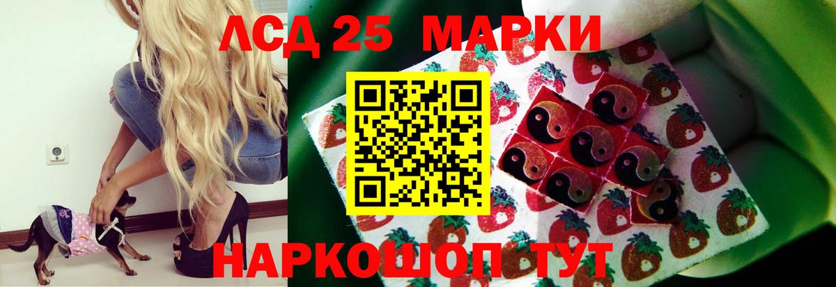 Лсд 25 экстази кислота Гатчина
