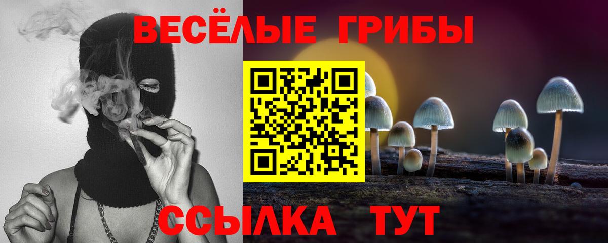 Галлюциногенные грибы GOLDEN TEACHER Гатчина