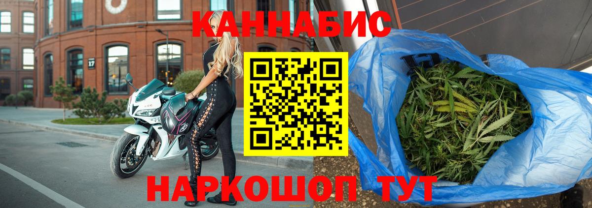МАРИХУАНА семена  Конопля гибрид  Гатчина  Конопля Bruce Banner  Вход с VPN  Канабис VHQ 